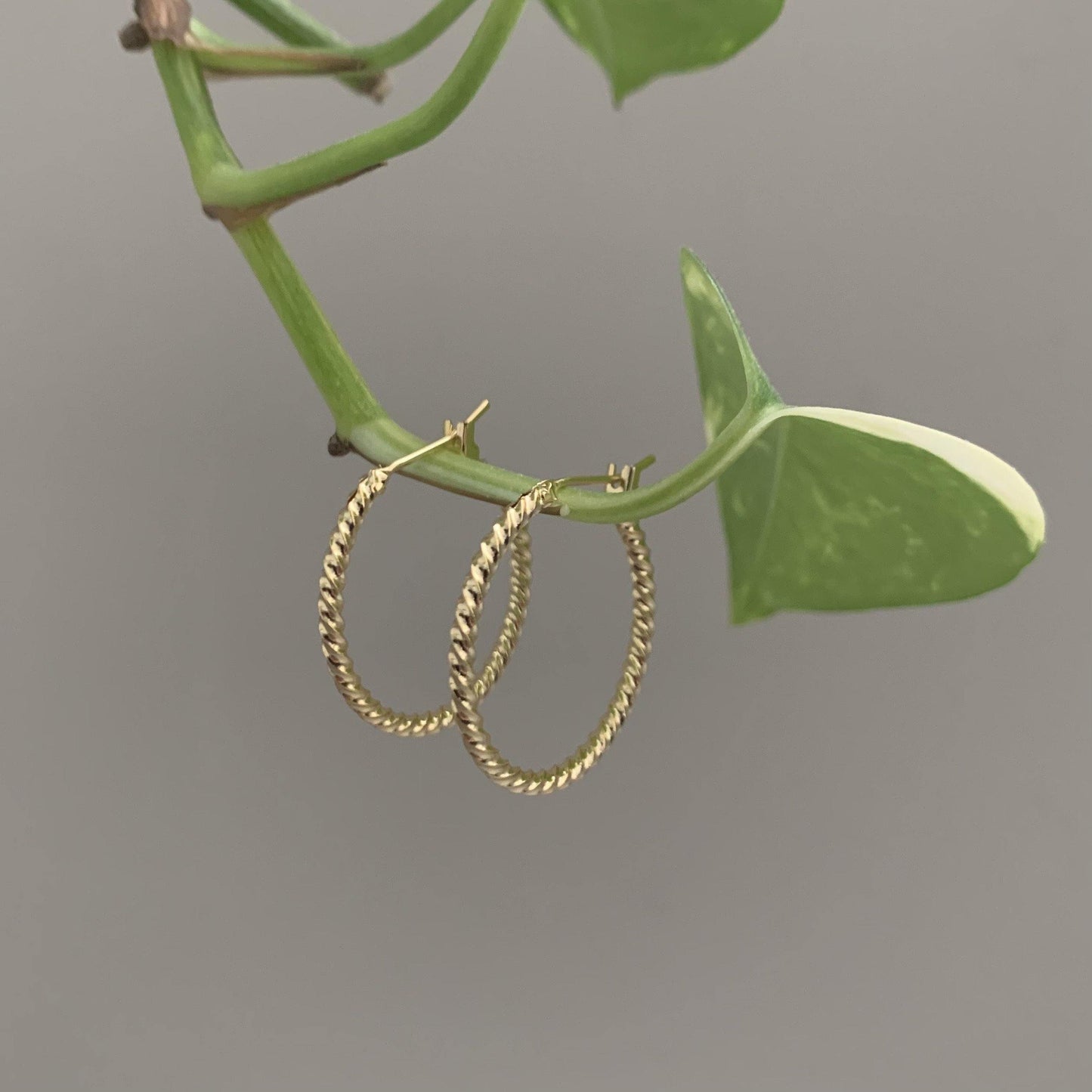 Revolved Earrings